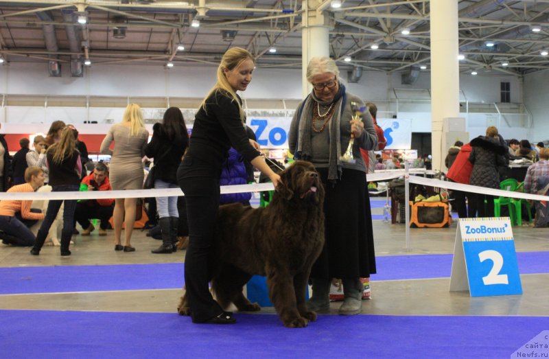 Фотография № 141954