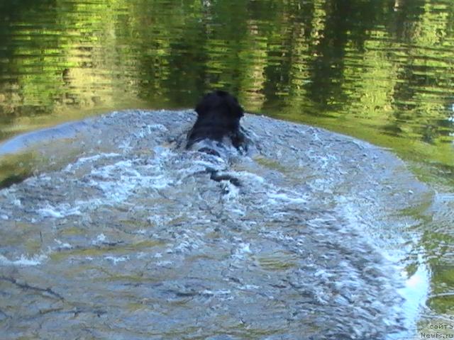 Фотография № 14196