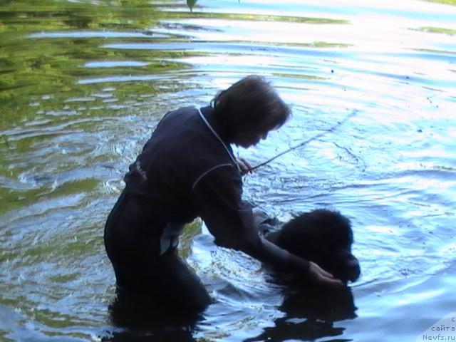 Фото: Ol'ga Koroleva (Ольга Королева)