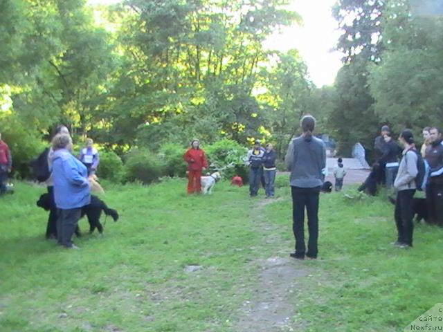 Фотография № 14203