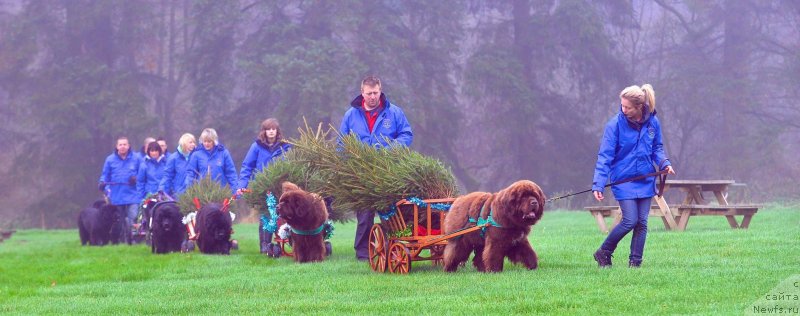 Фотография № 142151