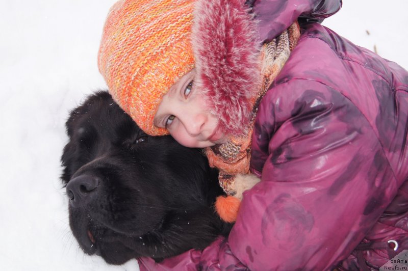 Фотография № 142152