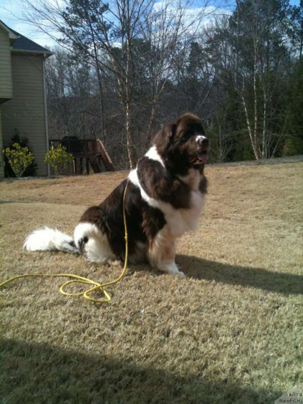 Фотография № 142153