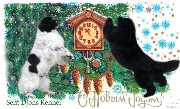 Фотография № 142184