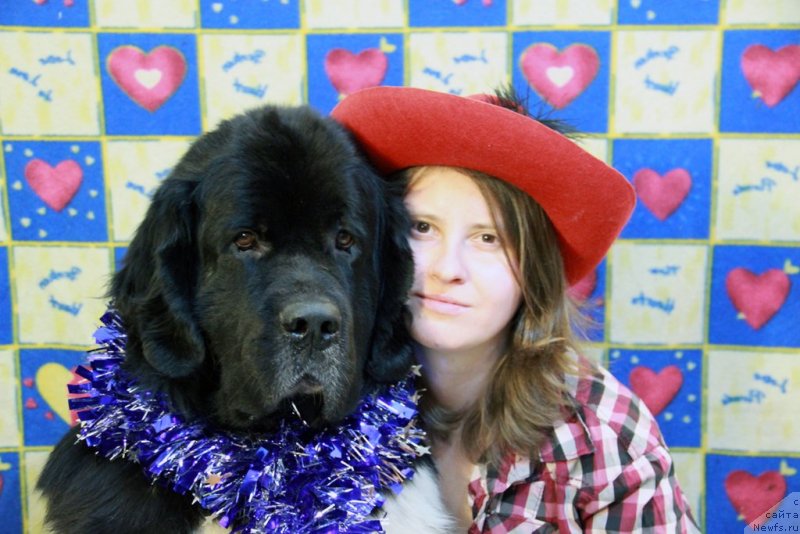 Фото: ньюфаундленд Starbimovlav Gardemarin (Старбимовлав Гардемарин), Alla Tuzkova (Алла Тузкова)
