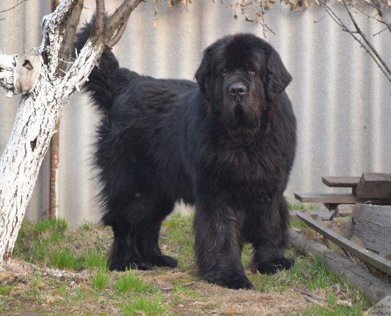 Фотография № 142250