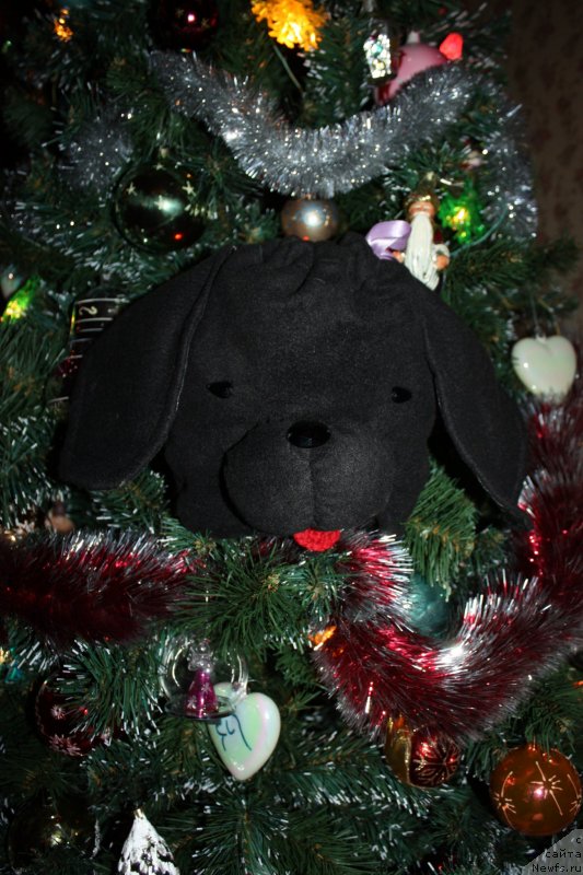 Фотография № 142254