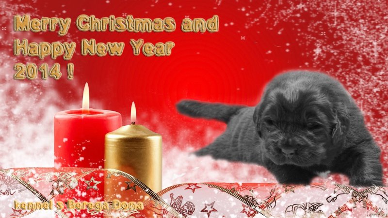 Фотография № 142255