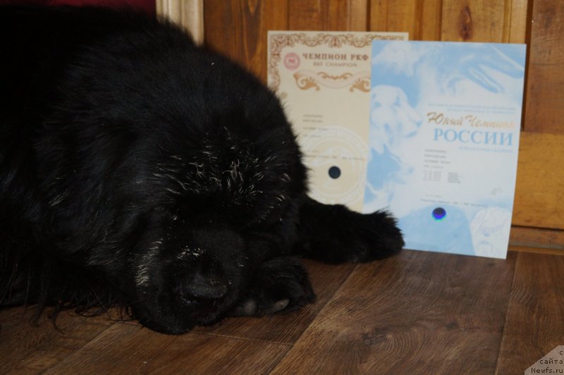 Фотография № 142276