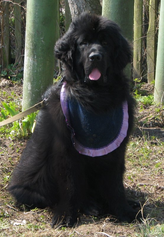 Фотография № 142344