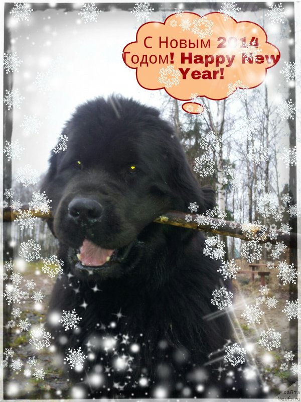 Фотография № 142355