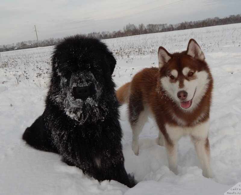 Фотография № 142362