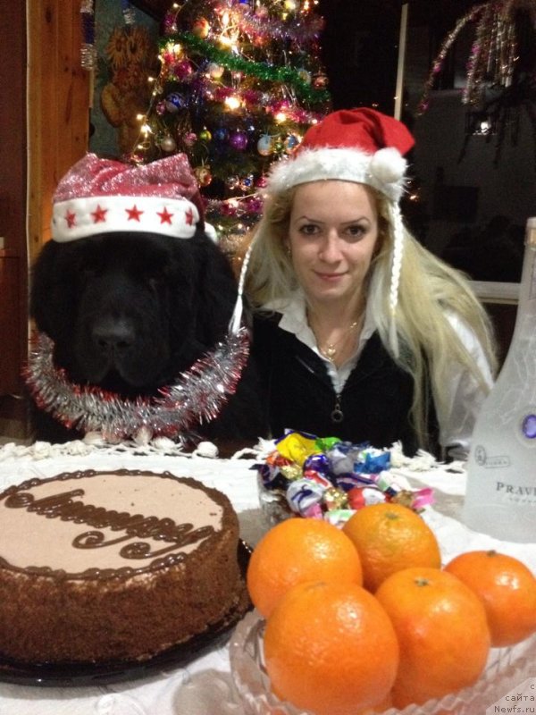 Фото: ньюфаундленд Pitern'yuf CHao-Kakao (Питерньюф Чао-Какао), Света