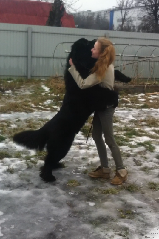 Фотография № 142387