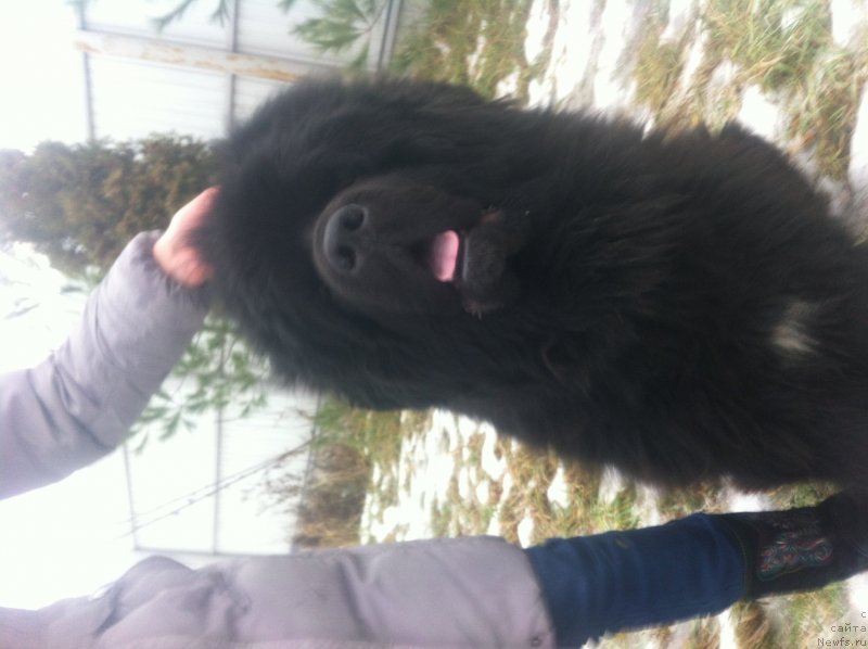 Фотография № 142389