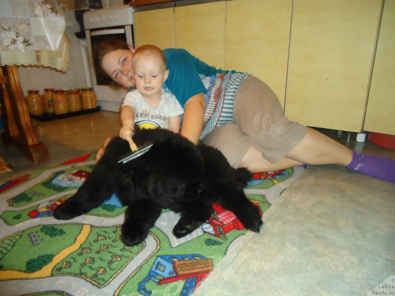 Фотография № 142395