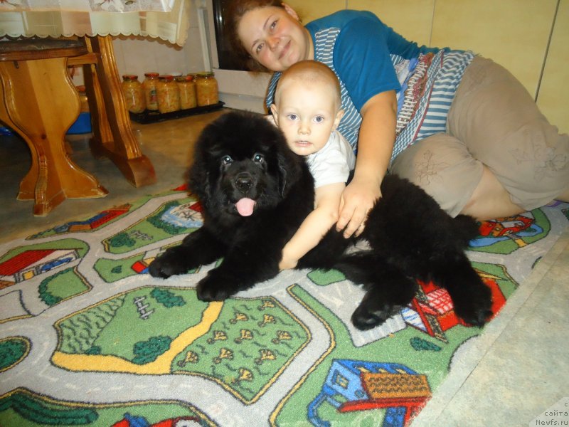 Фотография № 142396