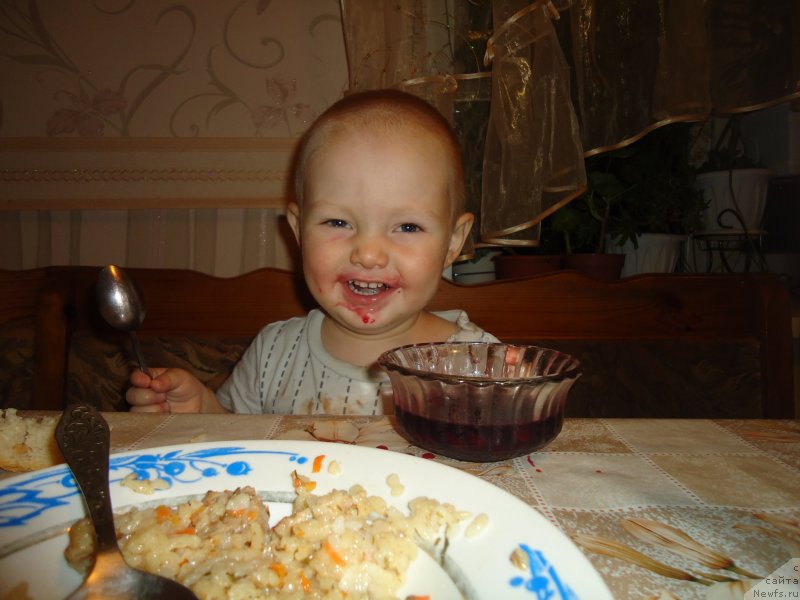 Фотография № 142397