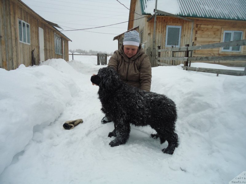 Фотография № 142404