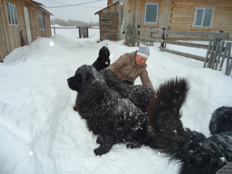 Фотография № 142405