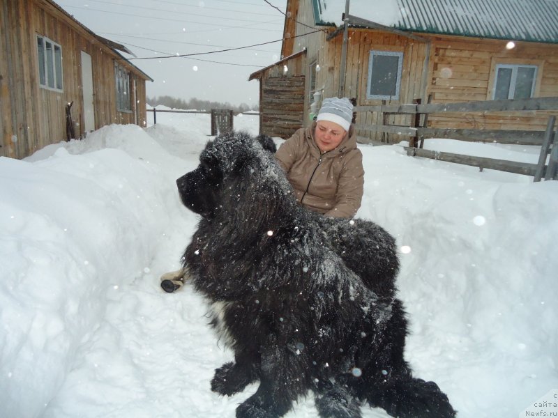 Фотография № 142406