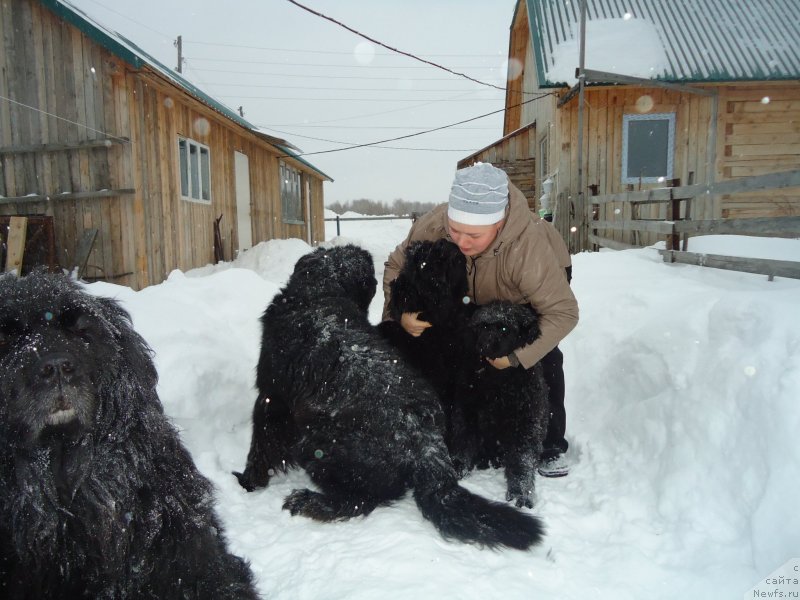 Фотография № 142407