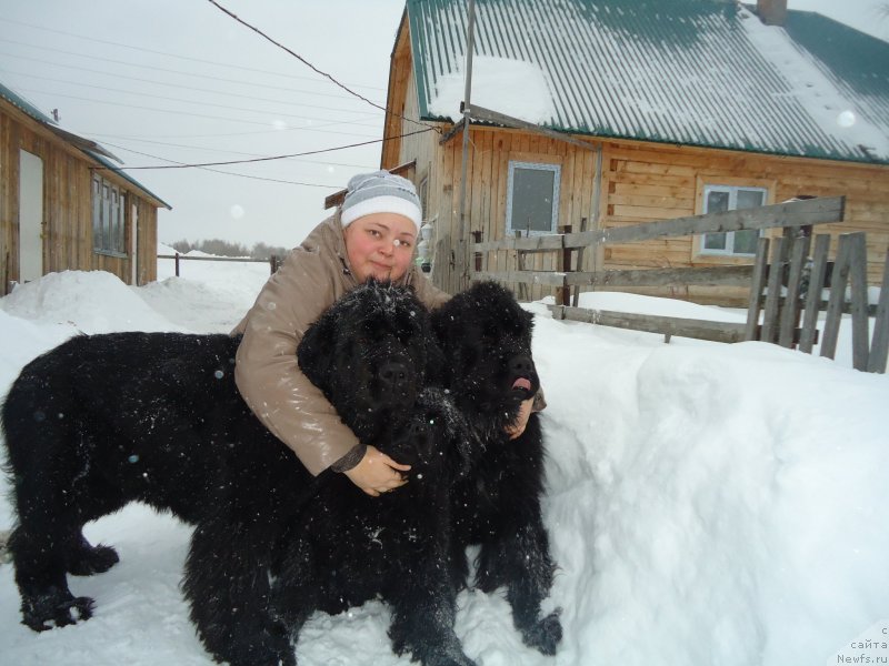 Фотография № 142408