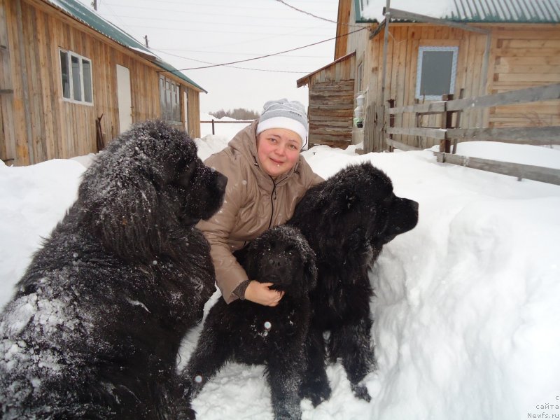 Фотография № 142409