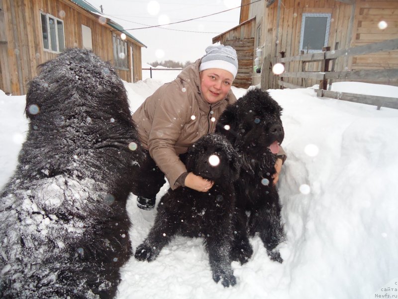 Фотография № 142410