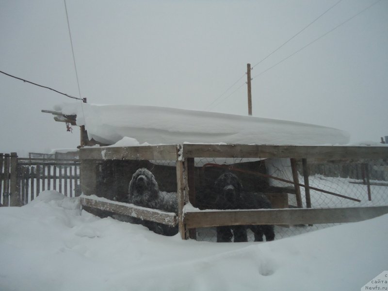 Фотография № 142411