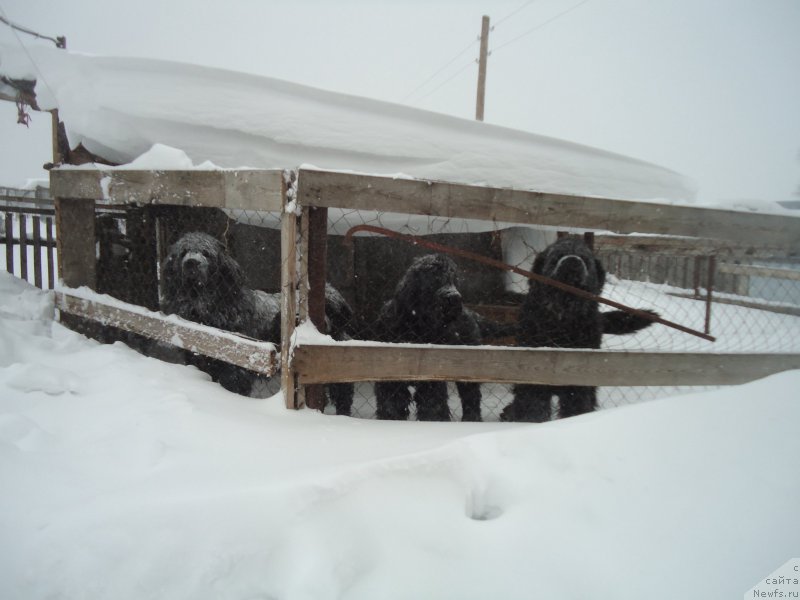 Фотография № 142412