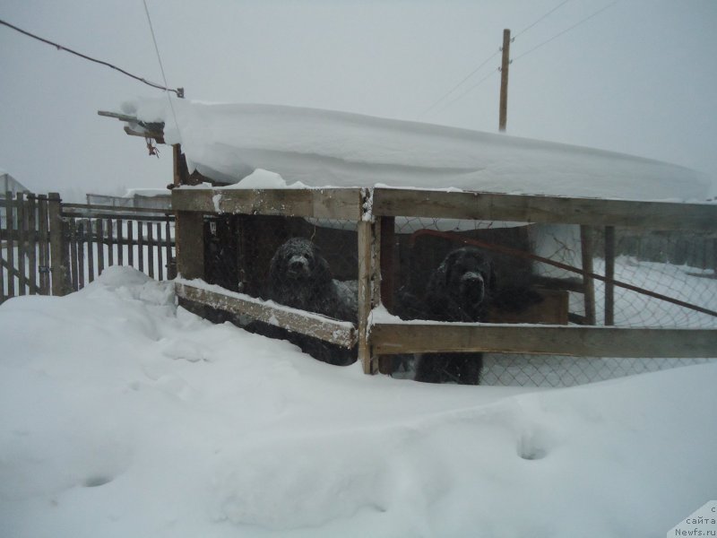 Фотография № 142413