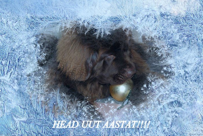 Фотография № 142466