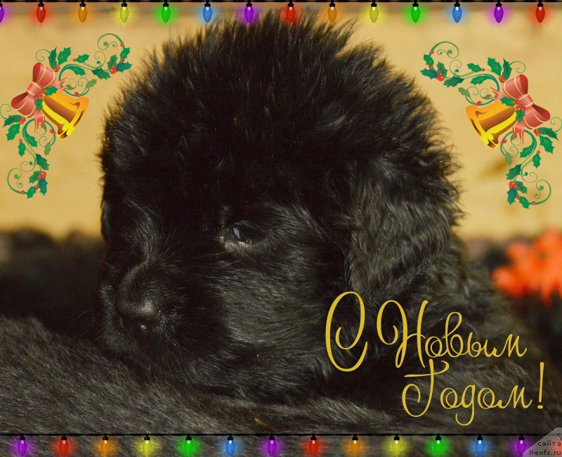 Фотография № 142469