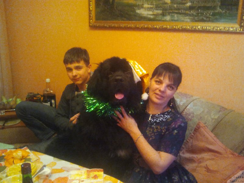 Фотография № 142854