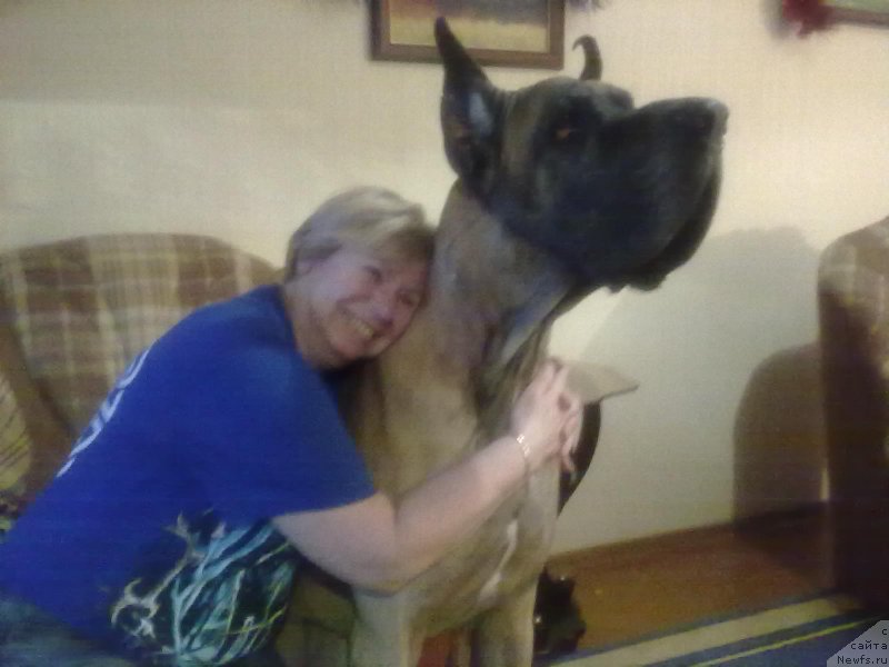 Фото: Irina Grigor'eva (Ирина Григорьева), Раш