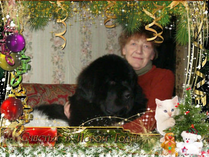 Фото: Nina Tyurikova (Нина Тюрикова)