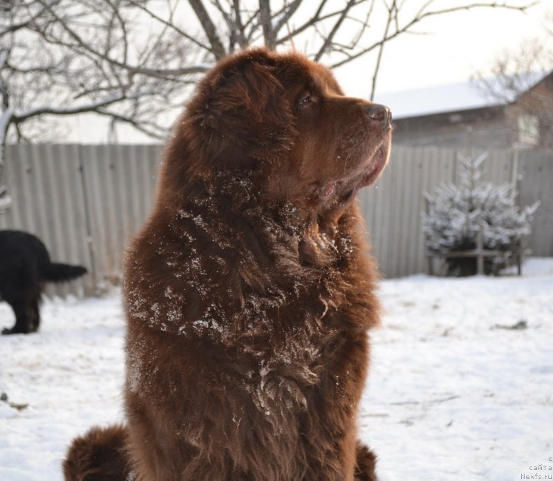 Фотография № 142898