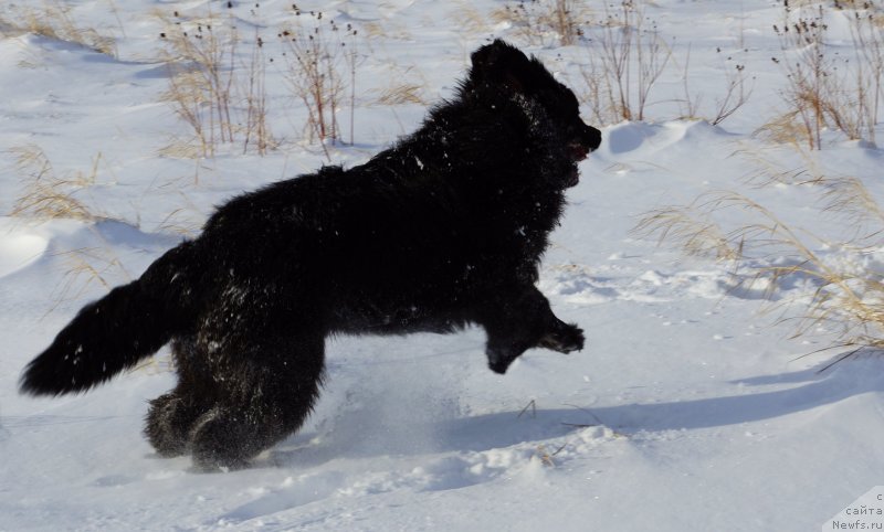 Фотография № 142958