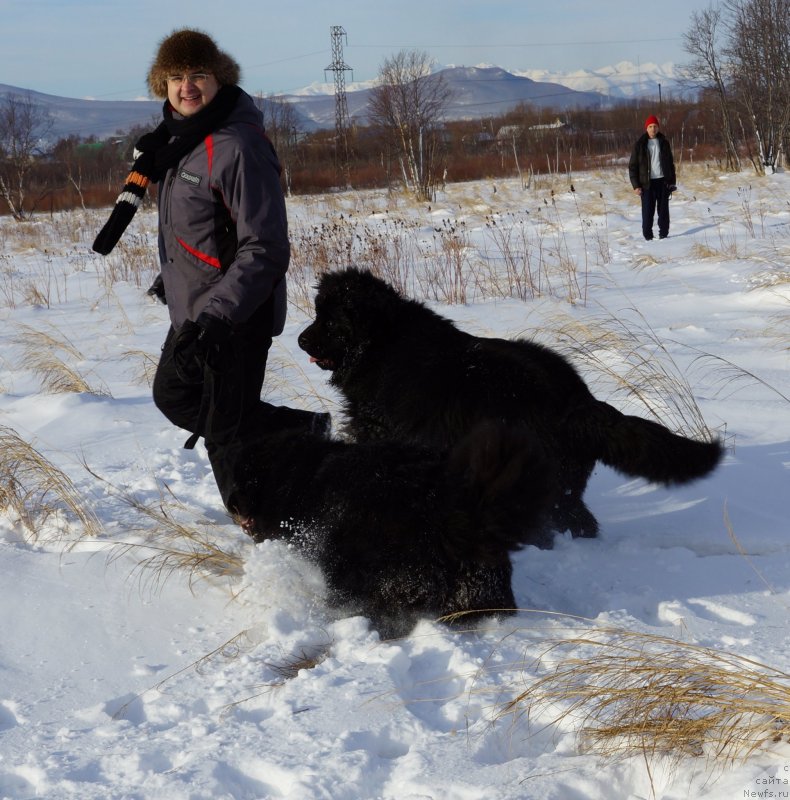 Фотография № 142962