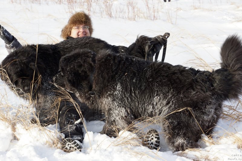 Фотография № 142963