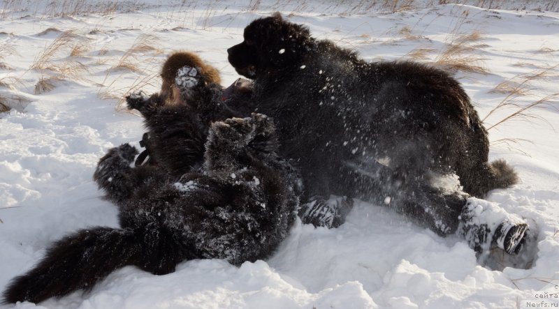 Фотография № 142964