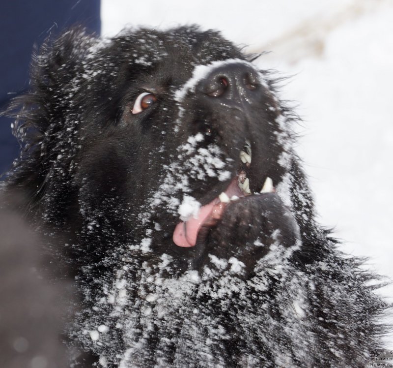 Фотография № 142973