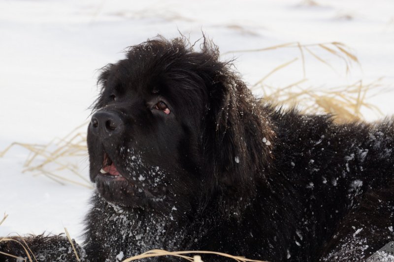 Фотография № 142974