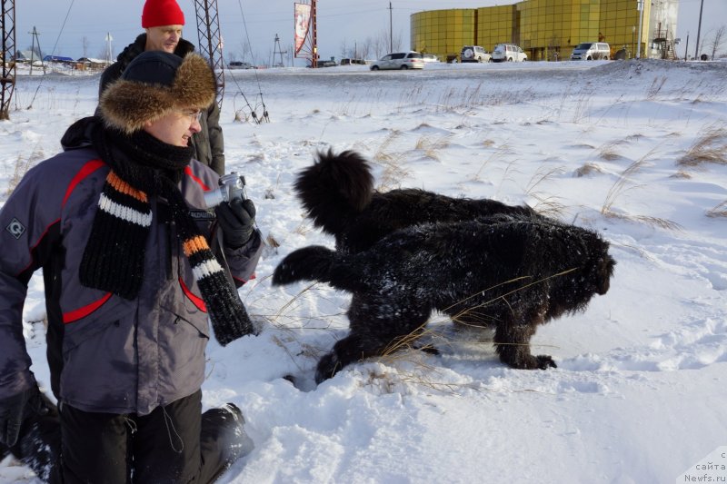 Фотография № 142976