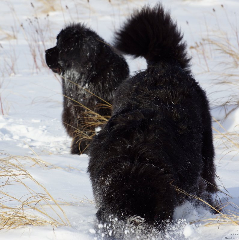 Фотография № 142978