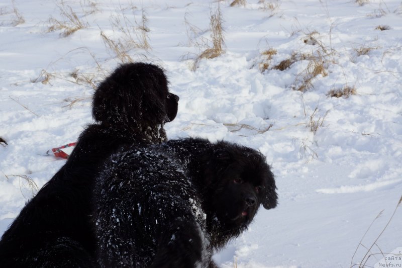 Фотография № 142979