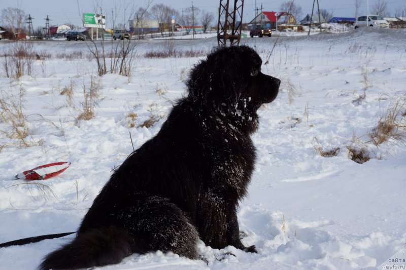 Фотография № 142980