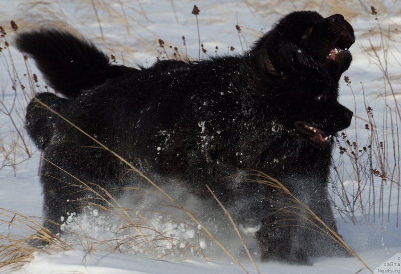 Фотография № 142981