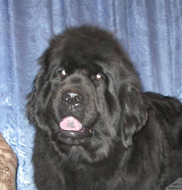 Фотография № 14303